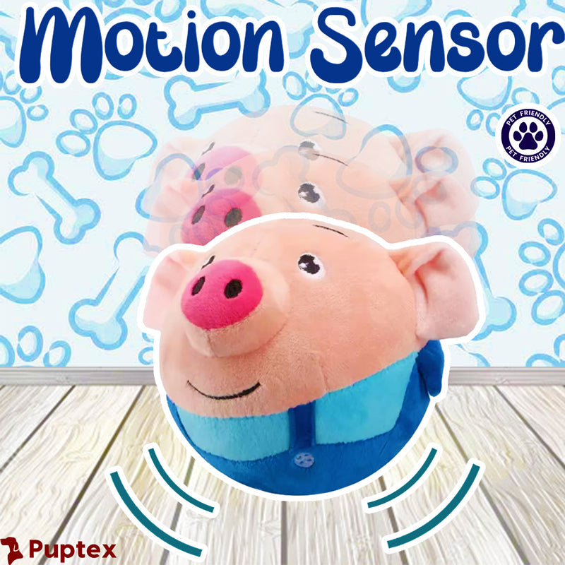 Bouncing Piggy - Interactive Dog Toy