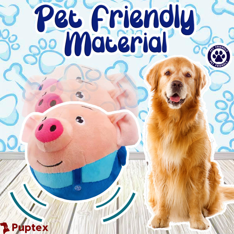 Bouncing Piggy - Interactive Dog Toy