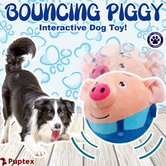 Bouncing Piggy - Interactive Dog Toy