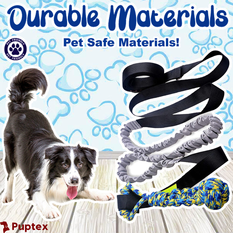 Bungee Tug - Interactive Dog Toy