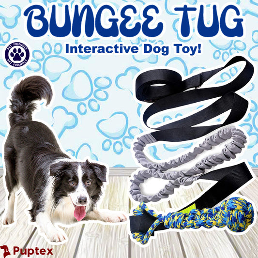 Bungee Tug - Interactive Dog Toy