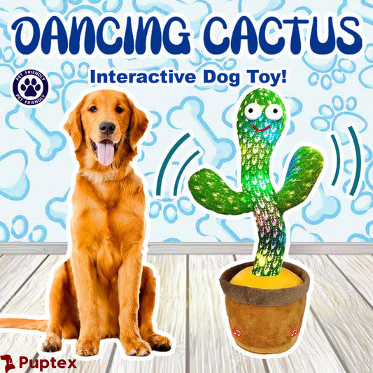 Dancing Cactus - Interactive Dog Toy
