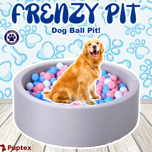 Frenzy Pit - Dog Ball Pit