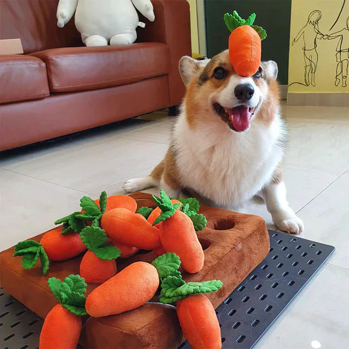 Carrot Patch - Interactive Dog Toy