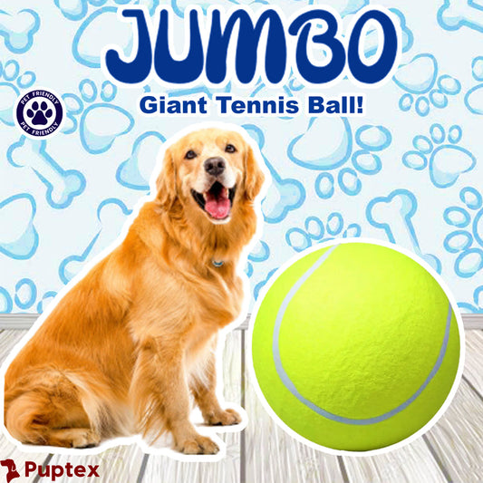 Jumbo Tennis Ball
