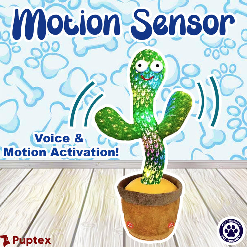 Dancing Cactus - Interactive Dog Toy