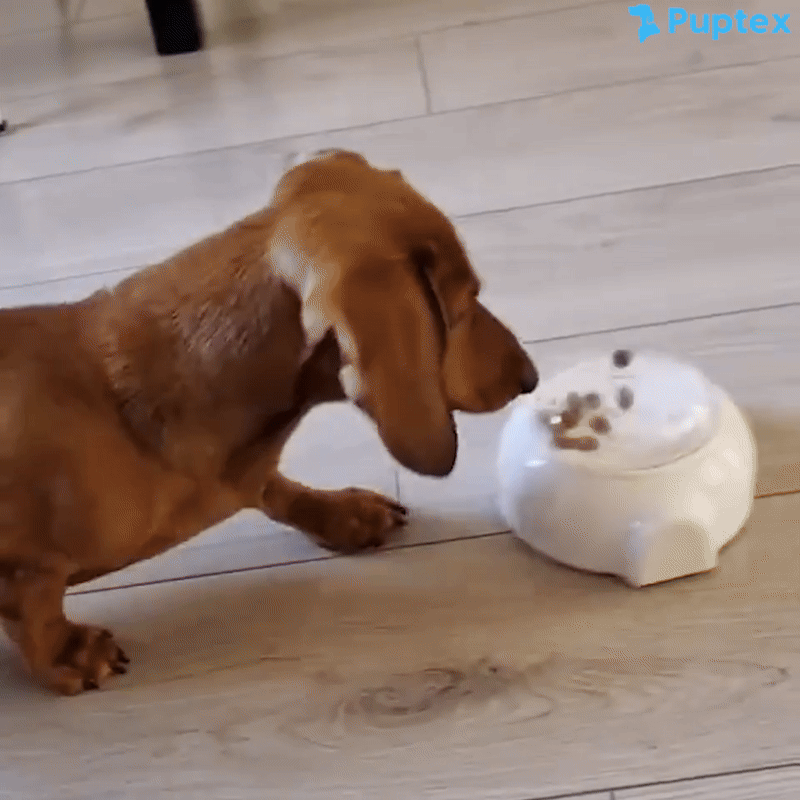 Scoot Snack - Interactive Treat Toy