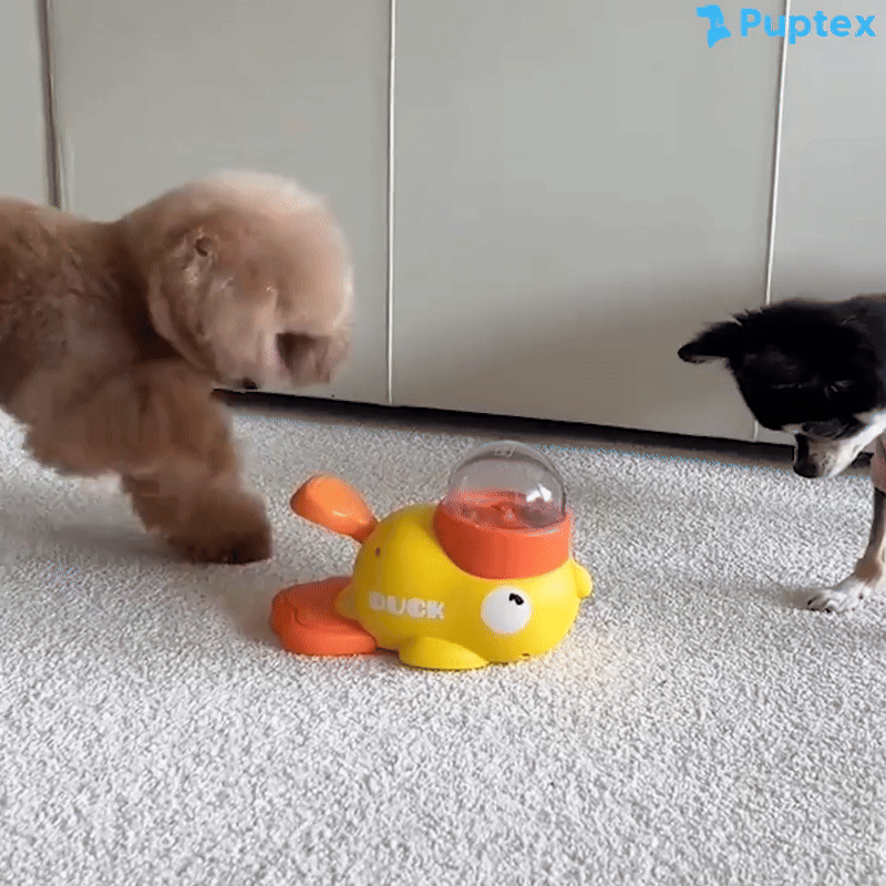 Quack Snack - Dog Puzzle Feeder