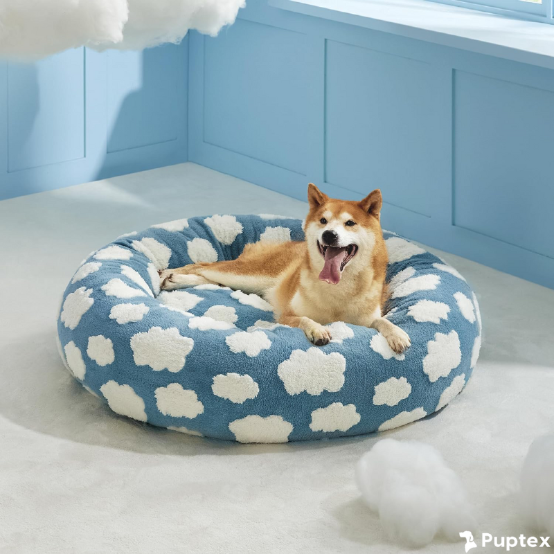 Cuddle Cloud - Calming Dog Bed
