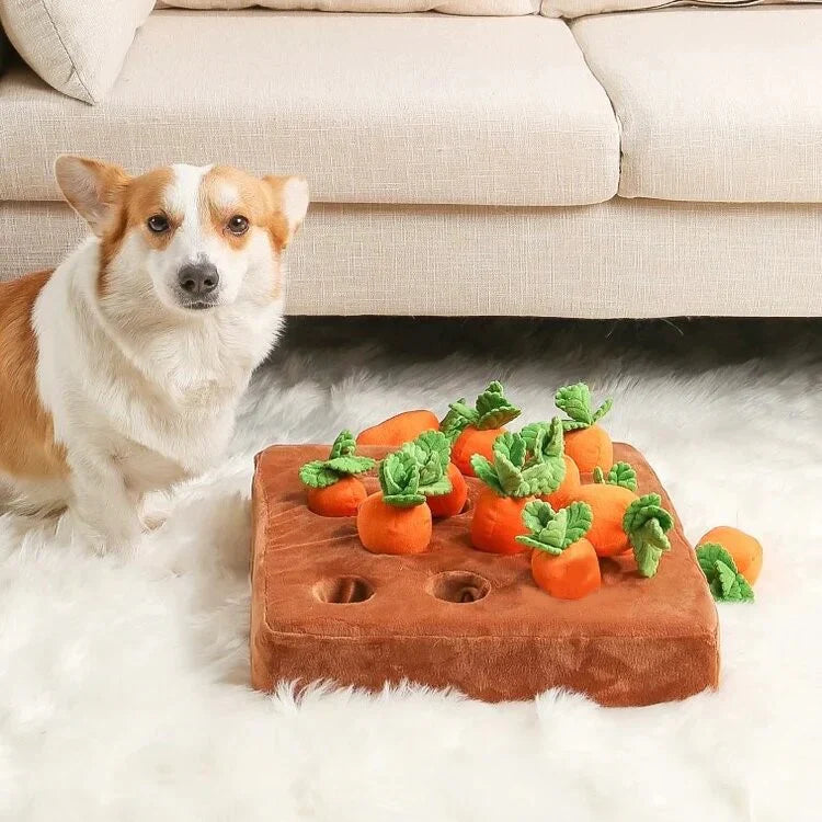 Carrot Patch - Interactive Dog Toy