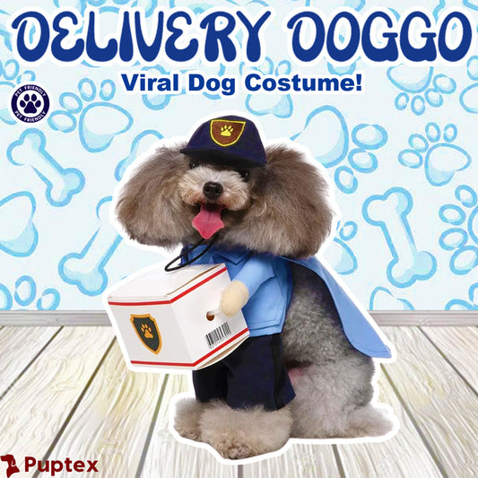 Delivery Doggo - Dog Costume