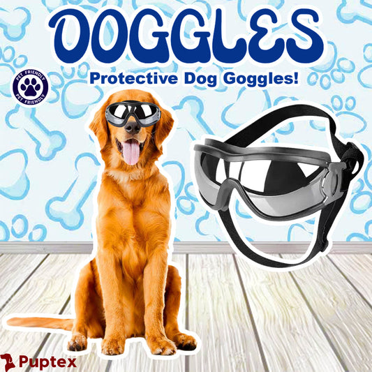 Doggles - Protective Dog Goggles