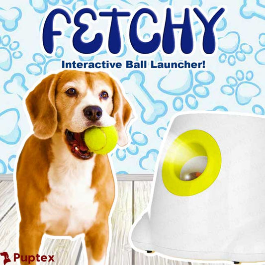 Fetchy - Automatic Ball Launcher