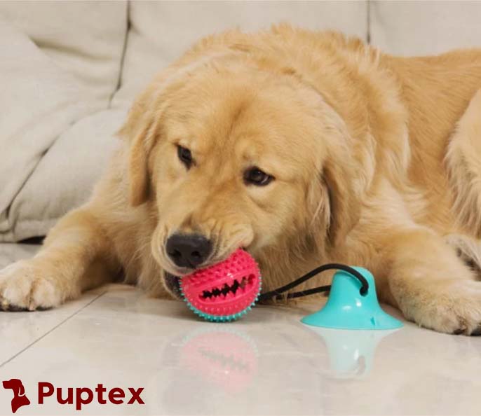 Doggy Tug - Interactive Dog Toy