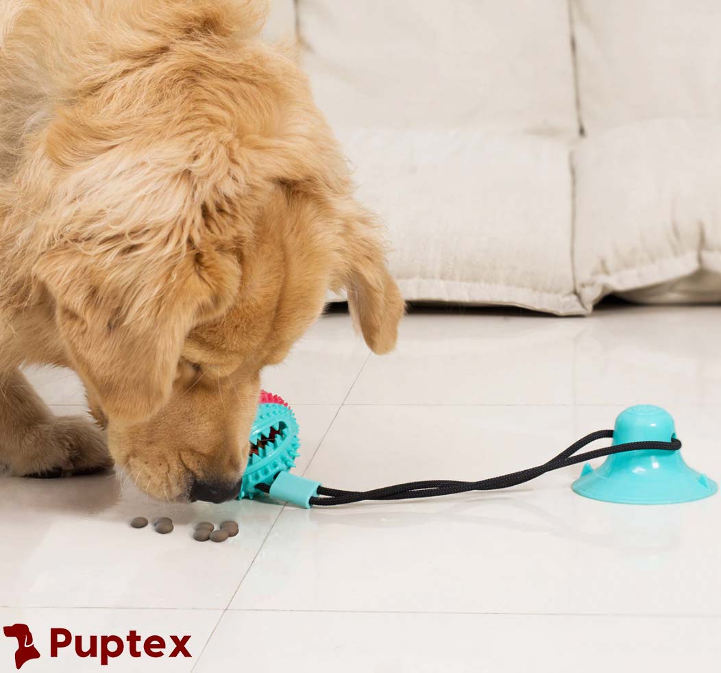 Doggy Tug - Interactive Dog Toy