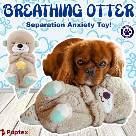 Breathing Otter - Separation Anxiety Toy