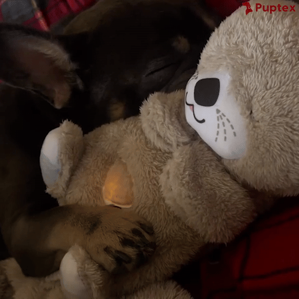 Breathing Otter - Separation Anxiety Toy