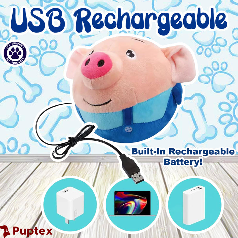 Bouncing Piggy - Interactive Dog Toy