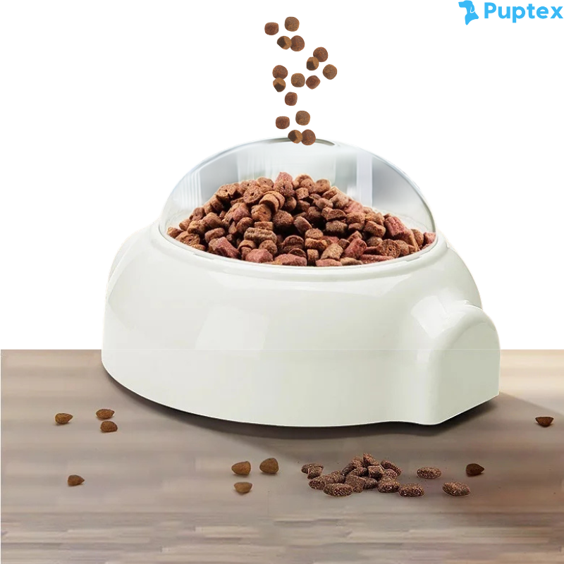 Scoot Snack - Interactive Treat Toy